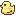 /duck